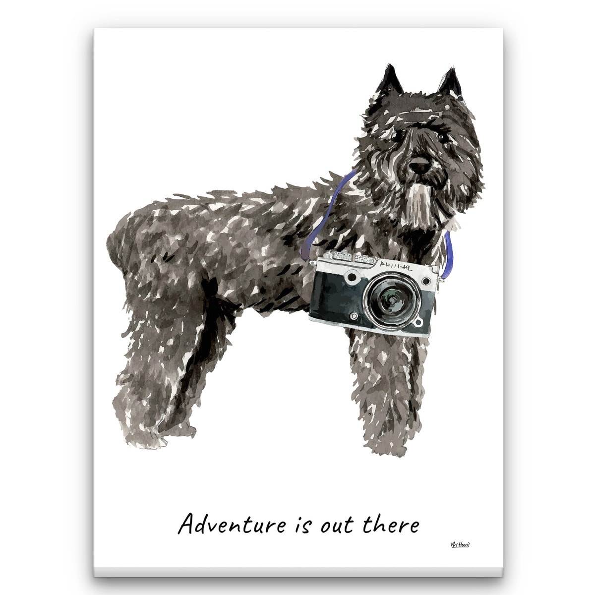 Adventure is out there Bouvier des Flandres dog canvas print illustration. Pre-stretched wall art ready to hang 1 Adventure is out there Bouvier des Flandres dog canvas print illustration. Pre-stretched wall art ready to hang