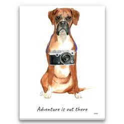 Adventure is out there Boxer dog canvas print illustration. Pre-stretched wall art ready to hang