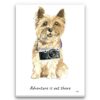 Adventure is out there Cairn Terrier dog canvas print illustration. Pre-stretched wall art ready to hang 1 adventure is out there portrait canvas cairn terrier print front view