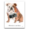 adventure is out there portrait canvas english bulldog print front view