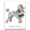 Adventure is out there Grey Poodle dog canvas print illustration. Pre-stretched wall art ready to hang 1 adventure is out there portrait canvas grey poodle print front view