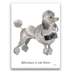 Adventure is out there Grey Poodle dog canvas print illustration. Pre-stretched wall art ready to hang