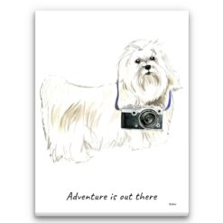 Adventure is out there Maltese dog canvas print illustration. Pre-stretched wall art ready to hang