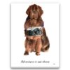 adventure is out there portrait canvas newfoundland print front view
