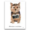 Adventure is out there Norfolk Terrier dog canvas print illustration. Pre-stretched wall art ready to hang 1 adventure is out there portrait canvas norfolk terrier print front view