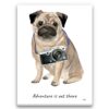 Adventure is out there Pug dog canvas print illustration. Pre-stretched wall art ready to hang 1 adventure is out there portrait canvas pug print front view