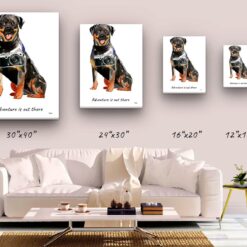 Adventure is out there Rottweiler dog canvas print illustration. Pre-stretched wall art ready to hang 9 adventure is out there portrait canvas rottweiler size comparison