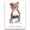 Adventure is out there Staffordshire Bull Terrier dog canvas print illustration. Pre-stretched wall art ready to hang