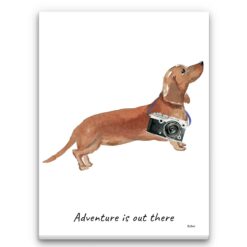 Adventure is out there Tan Dachshund dog canvas print illustration. Pre-stretched wall art ready to hang