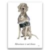 adventure is out there portrait canvas weimaraner print front view