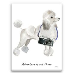 Adventure is out there White poodle dog canvas print illustration. Pre-stretched wall art ready to hang