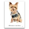 Adventure is out there Yorkshire Terrier dog canvas print illustration. Pre-stretched wall art ready to hang 2 adventure is out there portrait canvas yorkshire terrier print front view