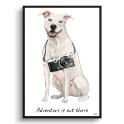 Adventure is out there American Staffordshire terrier dog print illustration. Framed & un-framed wall art