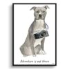 Adventure is out there American Staffordshire terrier grey dog print illustration. Framed & un-framed wall art 1 adventure is out there portrait print american staffordshire terrier grey front view