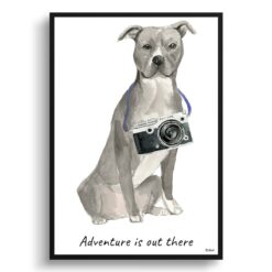 Adventure is out there American Staffordshire terrier grey dog print illustration. Framed & un-framed wall art