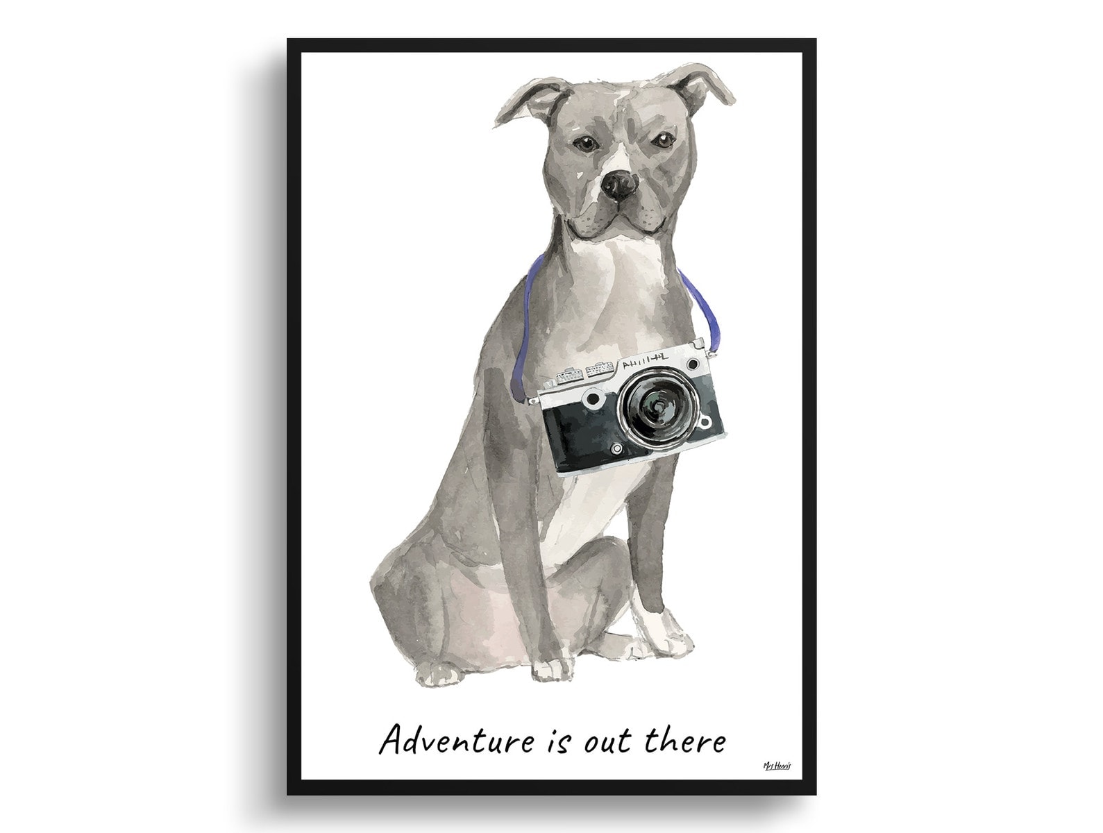 Adventure is out there American Staffordshire terrier grey dog print illustration. Framed & un-framed wall art 3 Adventure is out there American Staffordshire terrier grey dog print illustration. Framed & un-framed wall art