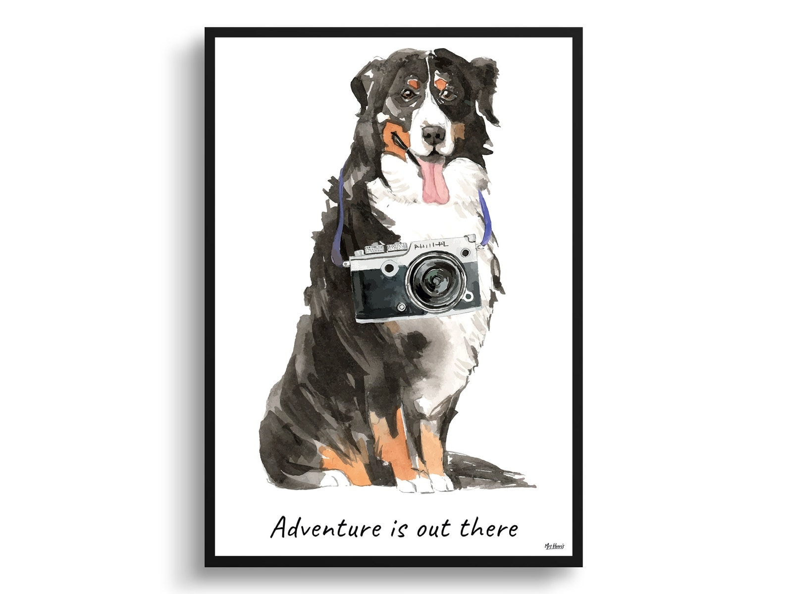 Adventure is out there Bernese Mountain Dog dog print illustration. Framed & un-framed wall art 3 Adventure is out there Bernese Mountain Dog dog print illustration. Framed & un-framed wall art