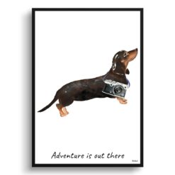 Adventure is out there Black & Tan Dachshund dog print illustration. Framed & un-framed wall art