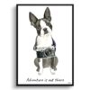 Adventure is out there Boston Terrier dog print illustration. Framed & un-framed wall art 2 adventure is out there portrait print boston terrier front view