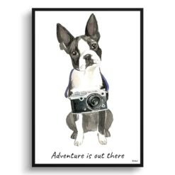 Adventure is out there Boston Terrier dog print illustration. Framed & un-framed wall art