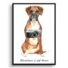 Adventure is out there Boxer dog print illustration. Framed & un-framed wall art 1 adventure is out there portrait print boxer front view