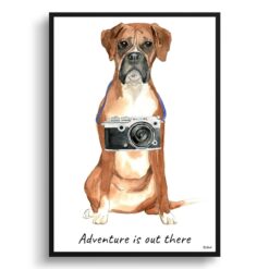 Adventure is out there Boxer dog print illustration. Framed & un-framed wall art