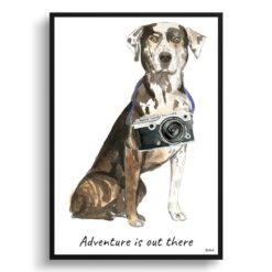 Adventure is out there Catahoula Leopard Dog dog print illustration. Framed & un-framed wall art