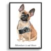 Adventure is out there French Bulldog dog print illustration. Framed & un-framed wall art 2 adventure is out there portrait print french bulldog front view