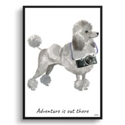 Adventure is out there Grey Poodle dog print illustration. Framed & un-framed wall art