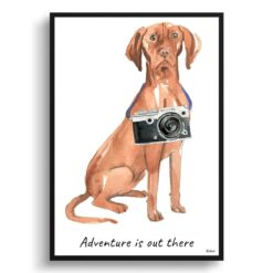 Adventure is out there Hungarian Vizsla dog print illustration. Framed & un-framed wall art