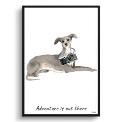 Adventure is out there Italian greyhound dog print illustration. Framed & un-framed wall art