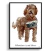 Adventure is out there Labradoodle dog print illustration. Framed & un-framed wall art 2 adventure is out there portrait print labradoodle front view