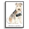 Adventure is out there Lakeland Terrier dog print illustration. Framed & un-framed wall art 1 adventure is out there portrait print lakeland terrier front view