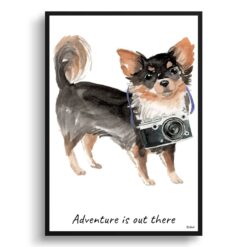 Adventure is out there Long Haired Chihuahua dog print illustration. Framed & un-framed wall art