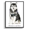 Adventure is out there Malamute dog print illustration. Framed & un-framed wall art 1 adventure is out there portrait print malamute front view