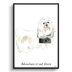Adventure is out there Maltese dog print illustration. Framed & un-framed wall art