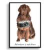 Adventure is out there Newfoundland dog print illustration. Framed & un-framed wall art 1 adventure is out there portrait print newfoundland front view