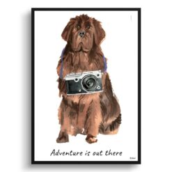 Adventure is out there Newfoundland dog print illustration. Framed & un-framed wall art