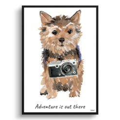 Adventure is out there Norfolk Terrier dog print illustration. Framed & un-framed wall art