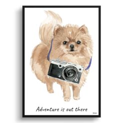 Adventure is out there Pomeranian dog print illustration. Framed & un-framed wall art