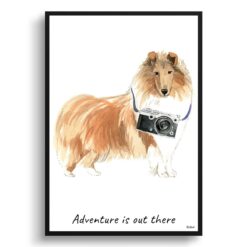 Adventure is out there Rough Collie dog print illustration. Framed & un-framed wall art