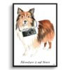 Adventure is out there Shetland Sheepdog dog print illustration. Framed & un-framed wall art 1 adventure is out there portrait print shetland sheepdog front view