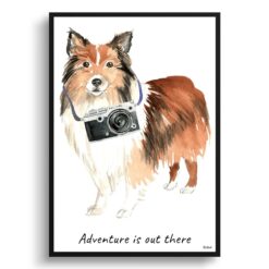 Adventure is out there Shetland Sheepdog dog print illustration. Framed & un-framed wall art