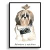 Adventure is out there Shih tzu Long hair dog print illustration. Framed & un-framed wall art 1 adventure is out there portrait print shih tzu long hair front view