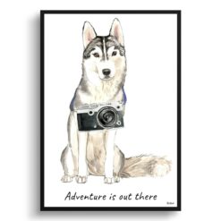 Adventure is out there Siberian Husky dog print illustration. Framed & un-framed wall art