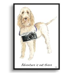 Adventure is out there Spinone Italiano dog print illustration. Framed & un-framed wall art