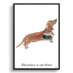 Adventure is out there Tan Dachshund dog print illustration. Framed & un-framed wall art