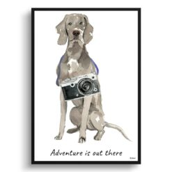 Adventure is out there Weimaraner dog print illustration. Framed & un-framed wall art