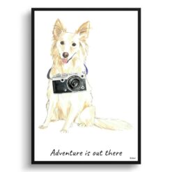 Adventure is out there White Collie dog print illustration. Framed & un-framed wall art