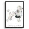 Adventure is out there White poodle dog print illustration. Framed & un-framed wall art 1 adventure is out there portrait print white poodle front view